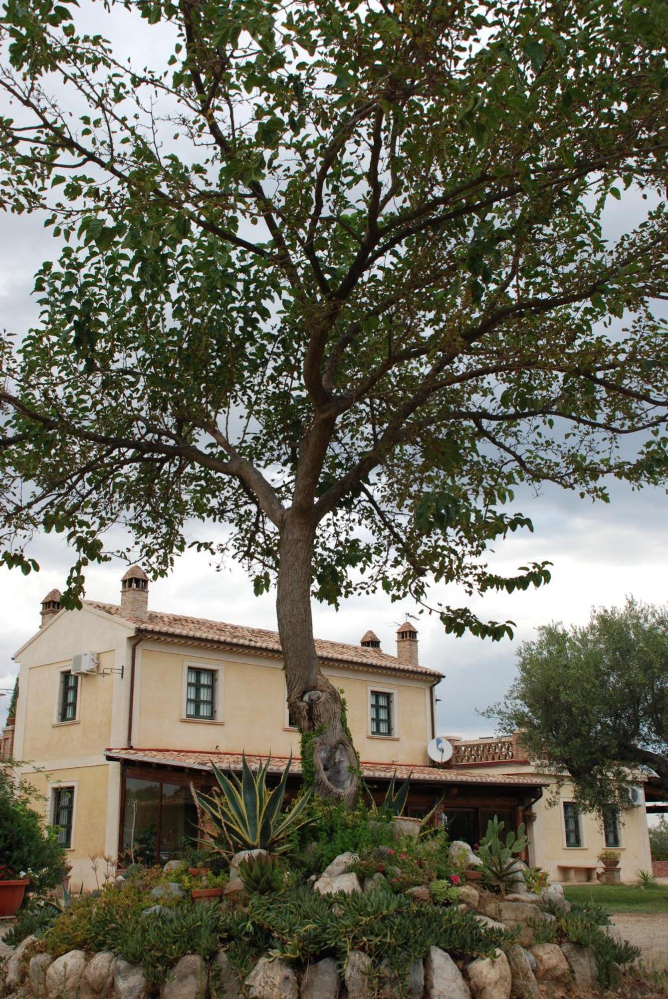 Agriturismo Casacchella Marina di Sibari Kamer foto